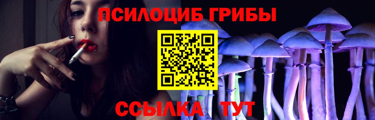 магазин продажи   Галлюциногенные грибы мицелий  Вход с VPN  Псилоцибиновые грибы MAGIC MUSHROOMS  Калининград 